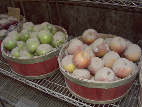Apples
